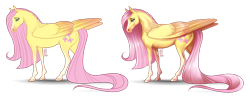 Size: 3931x1525 | Tagged: safe, artist:badass-doctor, fluttershy, horse, pegasus, pony, g4, blaze (coat marking), coat markings, cutie mark, facial markings, female, folded wings, hoers, long mane, long tail, mare, realistic, realistic anatomy, realistic horse legs, simple background, socks (coat markings), solo, tail, transparent background, wings