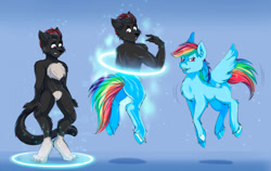 Size: 2414x1526 | Tagged: safe, artist:shokly, rainbow dash, oc, pegasus, pony, g4, flying, furry, furry to pony, transformation, transformation ring, transformation sequence, unshorn fetlocks