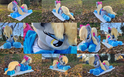 Size: 3840x2403 | Tagged: safe, artist:lanacraft, photographer:damagics, derpy hooves, pegasus, pony, g4, autumn, bedroom eyes, bow, bowtie, clothes, female, hoodie, life size, lying down, mare, multiple views, outdoors, photo, photo shoot, plushie, prone, socks, solo, striped socks