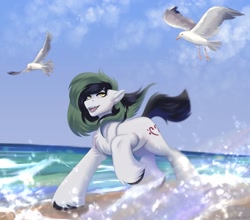 Size: 2048x1801 | Tagged: safe, artist:enderbee, oc, oc only, oc:trance sequence, bird, earth pony, pony, male, ocean, outdoors, running, smiling, solo, stallion, water