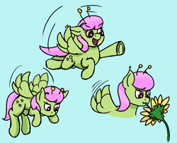 Size: 1285x1038 | Tagged: safe, artist:frilanka, merry may, insect, pegasus, pony, g4, flower, headband, simple background, solo, straw, sunflower