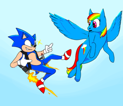 Size: 770x665 | Tagged: safe, artist:birdloverdude19, rainbow dash, hedgehog, pegasus, g4, female, jetpack, male, sonic the hedgehog, sonic the hedgehog (series)