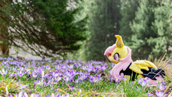 Size: 1192x671 | Tagged: safe, artist:mgrdash, fluttershy, bat pony, pony, g4, bat ponified, crocus, flower, flutterbat, irl, photo, plushie, ponies in real life, race swap