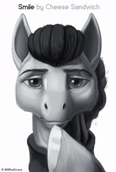 Size: 1293x1920 | Tagged: safe, artist:wwredgrave, cheese sandwich, earth pony, pony, g4, my little pony: friendship is magic, the last laugh, apple (company), bust, grayscale, looking at you, male, monochrome, parody, portrait, simple background, solo, stallion, steve jobs, white background