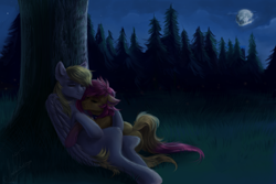 Size: 3000x2000 | Tagged: safe, artist:zefirayn, oc, oc only, oc:vulpie, oc:wholeheart, earth pony, pegasus, pony, commission, eyes closed, female, folded wings, forest, love, male, mare, moon, nature, night, oc x oc, shipping, sleeping, stallion, tree, vexel, wings, ych result