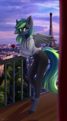 Size: 1101x2000 | Tagged: safe, artist:sonigiraldo, oc, oc only, pegasus, anthro, unguligrade anthro, alcohol, balcony, clothes, colored wings, commission, drink, ear fluff, eiffel tower, eyebrows, eyebrows visible through hair, female, glass, hoodie, looking at you, outdoors, pants, solo, spread wings, tail, tights, two toned wings, wine, wine glass, wings, ych result