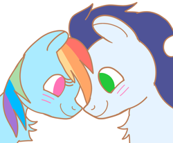 Size: 2513x2069 | Tagged: safe, rainbow dash, soarin', pegasus, pony, female, male, mare, ship:soarindash, shipping, stallion, straight