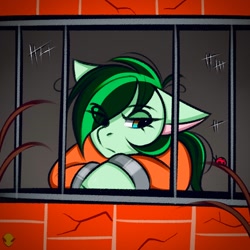 Size: 1000x1000 | Tagged: safe, artist:namelessplaza, oc, oc only, earth pony, insect, ladybug, pony, brick wall, bust, clothes, gift art, never doubt rainbowdash69's involvement, portrait, prison, prison outfit, prisoner, solo