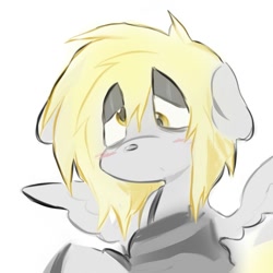 Size: 877x876 | Tagged: safe, artist:sn00wd0gg3, pegasus, pony, blonde mane, bust, clothes, gray coat, lidded eyes, shirt, simple background, solo, spread wings, striped shirt, white background, wings