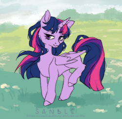 Size: 1055x1029 | Tagged: safe, artist:sanble, twilight sparkle, alicorn, pony, female, lidded eyes, mare, raised leg, solo, turned head, twilight sparkle (alicorn)