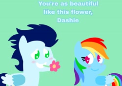 Size: 3553x2499 | Tagged: safe, anonymous artist, derpibooru exclusive, rainbow dash, soarin', pegasus, pony, series:soarindash relationship, series:soarindash romantic tales, g4, female, flower, male, mare, pointy ponies, ship:soarindash, shipping, stallion, straight, text