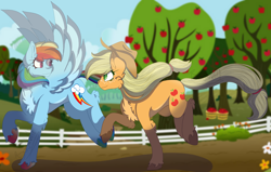 Size: 5036x3199 | Tagged: safe, artist:brybrychan, artist:bryonythewolf, applejack, rainbow dash, earth pony, pegasus, pony, g4, absurd resolution, chest fluff, duo, female, lesbian, mare, running, ship:appledash, shipping, spread wings, sweet apple acres, unshorn fetlocks, wings