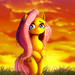 Size: 2449x2449 | Tagged: safe, artist:miokomata, fluttershy, pegasus, pony, g4, beautiful, bipedal, cloud, cloudy, cute, detailed hair, female, freckles, frown, grass, hind legs, legs together, looking away, looking down, mare, outdoors, shy, shyabetes, solo, standing, sunset