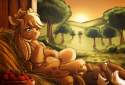 Size: 2000x1356 | Tagged: safe, artist:inuhoshi-to-darkpen, applejack, winona, dog, earth pony, pony, g4, apple, barn, basket, crossed hooves, duo, ear fluff, female, fluffy, food, fruit, grass, grass field, hay, lying down, mare, on back, one eye closed, patreon, patreon logo, pet, scenery, signature, sleeping, straw, sunset, sweet apple acres, unshorn fetlocks