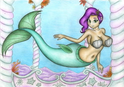 Size: 3090x2173 | Tagged: safe, artist:sinaherib, pipp petals, human, mermaid, g5, bra, humanized, seashell, seashell bra, solo, traditional art