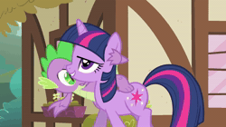 Size: 1920x1080 | Tagged: safe, screencap, spike, twilight sparkle, dragon, pony, unicorn, feeling pinkie keen, g4, my little pony: friendship is magic, season 1, animated, baby, baby dragon, cartoon physics, circling stars, derp, ditch, dizzy, duo, falling, female, lying down, male, mare, not paying attention, oh no, on back, ouch, ponyville, screaming, sound, tempting fate, unicorn twilight, webm, wingless spike