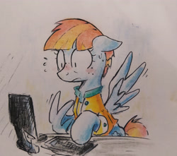 Size: 4096x3622 | Tagged: safe, artist:mirio_p2, windy whistles, pegasus, pony, g4, blushing, brush, colored, female, full color, half body, pc, solo, traditional art