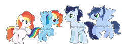 Size: 1280x487 | Tagged: safe, artist:marrayala, rainbow dash, soarin', oc, oc:cirrus cloud, oc:myriad shadow, pegasus, pony, g4, female, male, mare, offspring, parent:rainbow dash, parent:soarin', parents:soarindash, ship:soarindash, shipping, stallion, straight