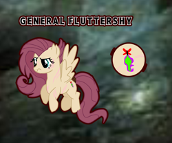 Size: 3150x2607 | Tagged: safe, fluttershy, pegasus, g4, au: equestria's war, character name, cutie mark, disbelief, general, general fluttershy(equestria's war), long hair, long tail, reference sheet, scar, tail, wings