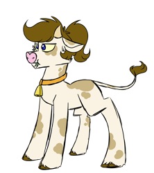 Size: 800x900 | Tagged: safe, artist:fuckomcfuck, oc, oc only, oc:doodles, cow, pony, bell, bell collar, cloven hooves, collar, cowbell, eating, eating grass, grass, simple background, solo, species swap, transparent background