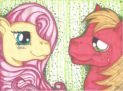 Size: 749x558 | Tagged: safe, artist:beardog101, big macintosh, fluttershy, earth pony, pegasus, pony, female, male, mare, ship:fluttermac, shipping, stallion, straight