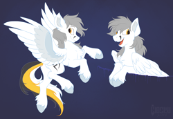 Size: 2054x1415 | Tagged: safe, artist:hioshiru, oc, oc only, oc:kej, pegasus, pony, black and yellow, blue background, chest fluff, concave belly, cute, ear fluff, fluffy, leg fluff, male, open mouth, pegasus oc, simple background, slender, solo, spread wings, stallion, striped tail, style emulation, tail, thin, unshorn fetlocks, wings