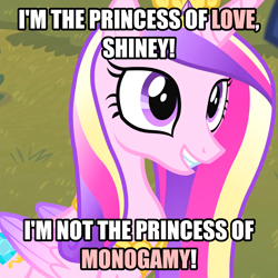 Size: 1686x1687 | Tagged: safe, screencap, princess cadance, alicorn, g4, caption, image macro, implied infidelity, implied shining armor, smiling, text