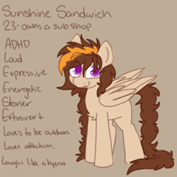 Size: 600x600 | Tagged: safe, artist:php193, oc, oc only, oc:sunshine sandwich, pegasus, braid, braided tail, long hair, male, reference sheet, solo, solo male, stallion, tail