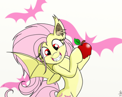 Size: 2500x2000 | Tagged: safe, artist:arcuswind, fluttershy, bat pony, pony, g4, apple, bat ponified, cute, ear fluff, fangs, female, flutterbat, food, grin, race swap, shyabates, shyabetes, smiling, solo