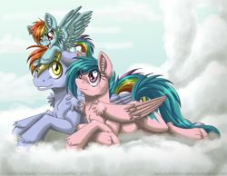 Size: 1800x1400 | Tagged: safe, artist:inuhoshi-to-darkpen, firefly, rainbow blaze, rainbow dash, pegasus, pony, g1, g4, cloud, crossed hooves, family, female, filly, filly rainbow dash, firefly as rainbow dash's mom, foal, g1 to g4, generation leap, lying down, lying on a cloud, male, mare, on a cloud, parent, ship:fireblaze, shipping, stallion, straight, trio, unshorn fetlocks, younger