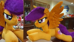 Size: 4032x2268 | Tagged: safe, artist:ponimalion, scootaloo, pegasus, pony, g4, bedroom eyes, female, irl, lidded eyes, life size, mare, photo, pillow, plushie, smiling, tail, wings