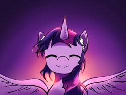 Size: 2160x1620 | Tagged: safe, artist:p+e-n, twilight sparkle, alicorn, pony, g4, eyes closed, smiling, solo, spread wings, twilight sparkle (alicorn), wings