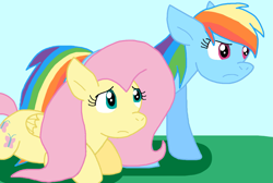 Size: 1185x794 | Tagged: safe, artist:cmara, fluttershy, rainbow dash, pegasus, g4, duo, duo female, female