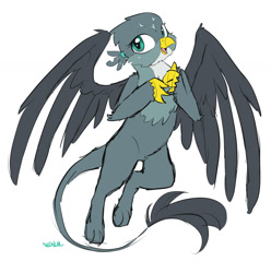 Size: 1500x1511 | Tagged: safe, artist:neoncel, gabby, griffon, g4, my little pony: friendship is magic, the fault in our cutie marks, colored sketch, cute, female, flying, gabbybetes, open mouth, sketch, smiling, solo, spread wings, wings