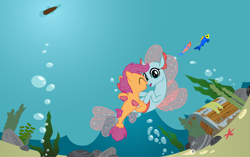 Size: 1280x805 | Tagged: artist needed, safe, anonymous artist, artist:jhayarr23, artist:parclytaxel, edit, vector edit, ocellus, scootaloo, changeling, fish, pony, seapony (g4), g4, ^^, bubble, coral, cute, cutealoo, cuteness overload, daaaaaaaaaaaw, diaocelles, disguise, disguised changeling, duo, eyes closed, female, filly, fin wings, fins, fish tail, foal, imminent kissing, lesbian, looking at each other, looking at someone, nose to nose, now kiss, ocean, open mouth, open smile, rock, scootalove, seaponified, seapony ocellus, seapony scootaloo, seashell, seaweed, ship:scootacellus, shipping, smiling, smiling at each other, species swap, swimming, tail, this will end in kisses, this will end in love, treasure chest, underwater, vector, water, wholesome, wings