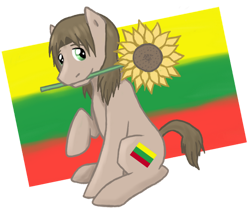 Size: 750x639 | Tagged: safe, artist:ninaiso, pony, flower, hetalia, lithuania, ponified, solo