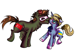 Size: 2592x1800 | Tagged: safe, artist:sirgalahadbw, pony, duo, hetalia, ponified, turkey (country), ukraine