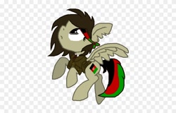 Size: 840x538 | Tagged: safe, anonymous artist, pony, afghanistan, nation ponies, ponified, solo