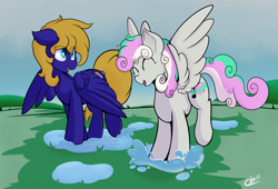 Size: 2231x1513 | Tagged: safe, artist:cloudybirb, oc, oc only, oc:cloud quake, oc:silver melody, pegasus, pony, cloud, cloudy, duo, duo female, eyes closed, female, outdoors, pegasus oc, puddle, splash