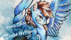 Size: 1026x576 | Tagged: safe, artist:madartistparadise, oc, oc only, pegasus, pony, 2016, brown mane, pegasus oc, solo, text, traditional art, watercolor painting, wings