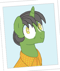 Size: 393x471 | Tagged: safe, artist:lullapiies, oc, oc:apple crunch, pony, unicorn, clothes, horn, male, shirt, solo, stallion