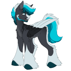 Size: 1000x1000 | Tagged: safe, artist:kazmuun, oc, oc only, oc:stormbound, pegasus, pony, beard, black wings, blaze (coat marking), blue eyes, blue hooves, blue mane, blue tail, blush lines, blushing, butt fluff, chest fluff, coat markings, colored, colored belly, colored eyebrows, colored hooves, colored lineart, colored pinnae, colored wings, colored wingtips, commission, countershading, ear fluff, facial hair, facial markings, flat colors, folded wings, gradient coat, gray coat, hock fluff, hooves, leg fluff, long legs, male, male oc, multicolored mane, multicolored tail, pale belly, pegasus oc, profile, shoulder fluff, signature, simple background, smiling, snip (coat marking), socks (coat markings), solo, stallion, stallion oc, standing, stripes, tail, transparent background, turned head, two toned wings, white pupils, white wingtips, wings