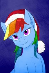 Size: 1173x1737 | Tagged: safe, artist:shirotanuki, rainbow dash, pegasus, g4, christmas, hat, hearth's warming, holiday, santa hat, solo