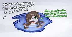 Size: 1006x519 | Tagged: safe, artist:neuro, oc, oc only, earth pony, pony, yakutian horse, dialogue, female, floppy ears, hair over one eye, ice, mare, offscreen character, open mouth, open smile, partially submerged, smiling, solo, talking to viewer, water, wet, wet mane