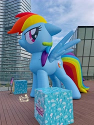 Size: 4284x5712 | Tagged: safe, rainbow dash, pony, g4, official, balloon, chinese, cutie mark, irl, looking back, outdoors, photo, side view, sky, solo, spread wings, standing, text, wings