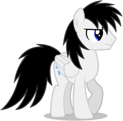 Size: 3811x3758 | Tagged: safe, artist:creedyboy124, oc, oc only, oc:shane park, pegasus, pony, angry, base used, folded wings, male, pegasus oc, simple background, stallion, stallion oc, transparent background, vector, wings