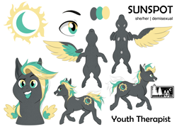 Size: 2818x2048 | Tagged: safe, artist:pookawoods-art, oc, oc:sunspot, pegasus, pony, female, mare, reference sheet, solo