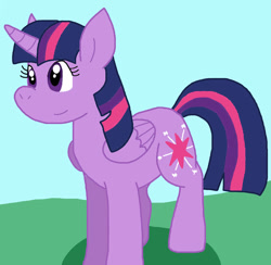 Size: 905x883 | Tagged: safe, artist:cmara, twilight sparkle, alicorn, pony, g4, female, solo, twilight sparkle (alicorn)