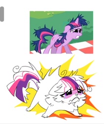 Size: 1136x1347 | Tagged: safe, artist:rr29578979, twilight sparkle, cat, pony, unicorn, g4, lesson zero, my little pony: friendship is magic, catified, crying, female, frown, mare, messy mane, screencap reference, species swap, unicorn twilight