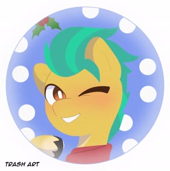 Size: 2028x2048 | Tagged: safe, artist:eltrash_art6, earth pony, pony, blushing, christmas, clothes, grin, holiday, holly, holly mistaken for mistletoe, icon, male, markings, one eye closed, scarf, smiling, snow, solo, stallion, unshorn fetlocks, wink